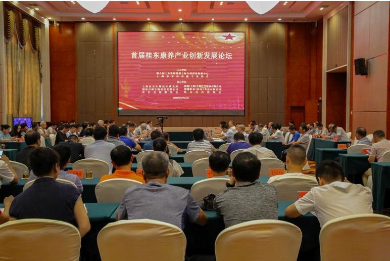 首届全球康养产业创新发展论坛在湖南桂东举行